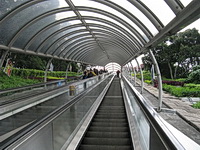 Ocean Park Escalator