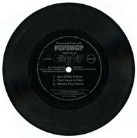 Popswop - Chicory Tip Flexi Disc